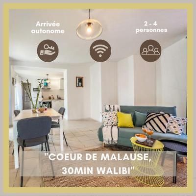 Le Gite 1 - Appartement T2 De 53M2, Ideal Pro Ou Couples, Coeur De Ville Et Proche Golfech Malause ภายนอก รูปภาพ